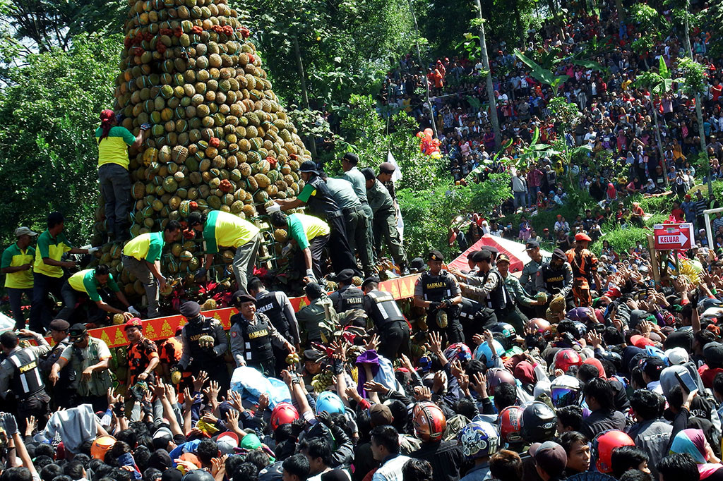 Ribuan Warga di Jombang Berebut Gunungan 2.016 Durian