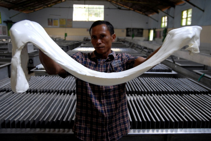 Rantai Penjualan Karet Harus Dipotong