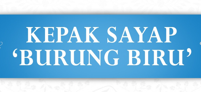 Kepak Sayap Burung Biru