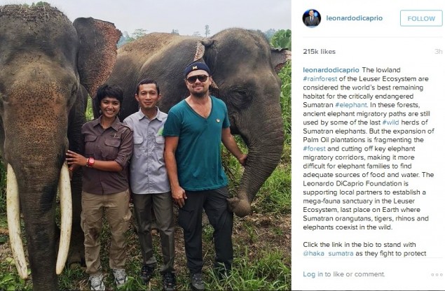 Leonardo DiCaprio at Gunung Leuser National Park, Aceh (Photo: Instagram)