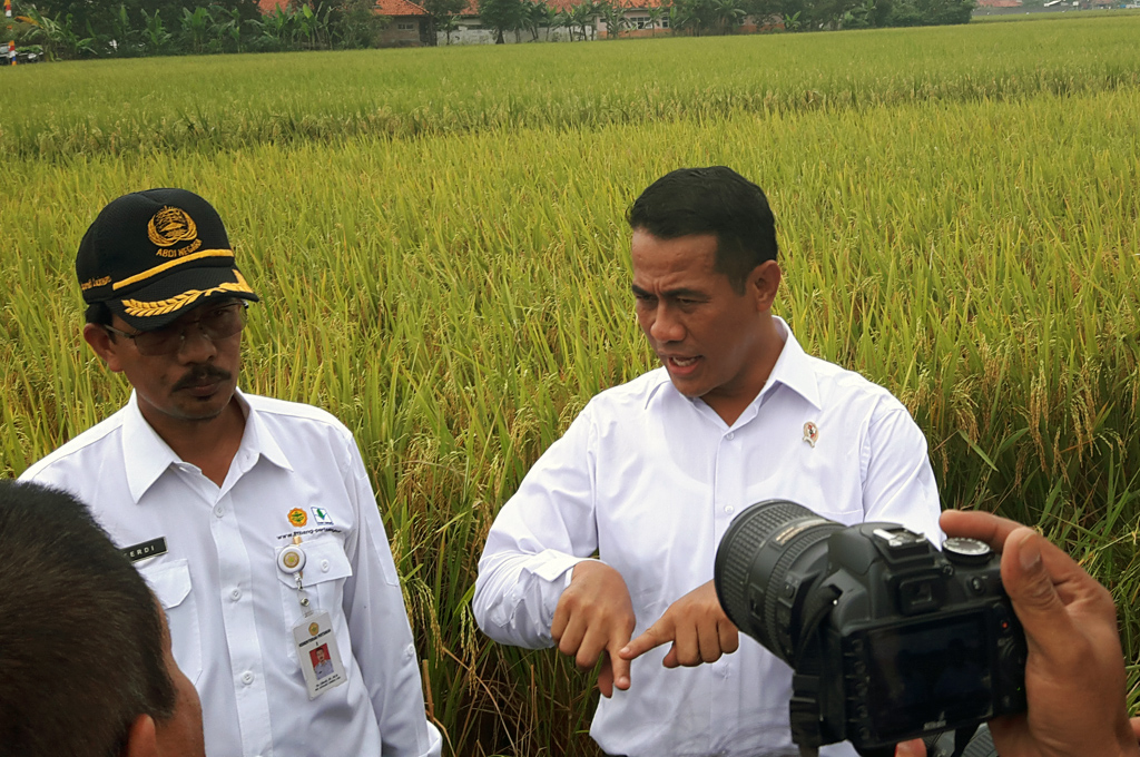 Mentan Percaya Diri Lawan Tengkulak - Medcom.id