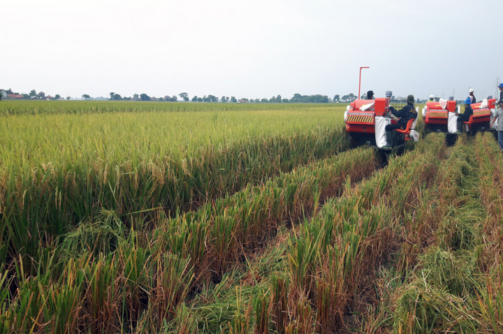 Mentan Segera Modernisasi Mesin Pertanian