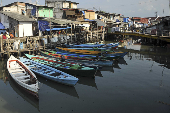 Ahok Bakal Sulap Luar Batang Jadi Kawasan Wisata Bahari 