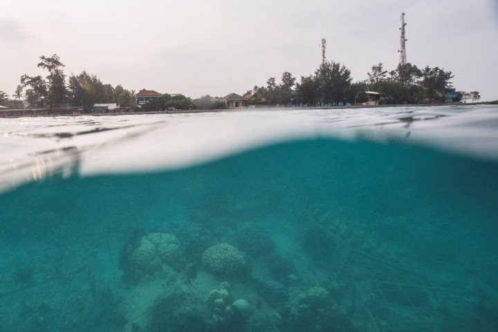 Pengelolaan Kekayaan Laut Pacu Pertumbuhan Ekonomi