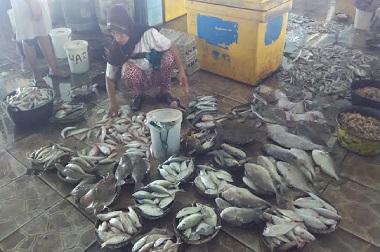 Tak Gunakan Cantrang, Hasil Tangkapan Ikan di Jepara Naik Drastis
