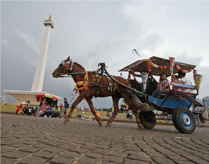 Ragunan Tolak Kuda Delman Monas karena Bahayakan Pengunjung