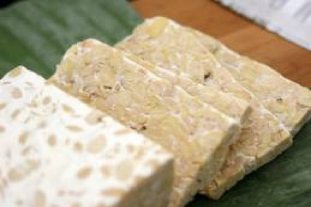 Tempe yang kaya protein dikenalkan sebagai makanan tambahan untuk tangani gizi buruk di Malang, Ant