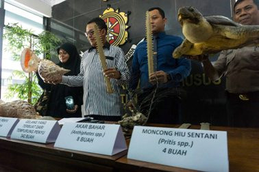 Polisi Sita Ratusan Kerajinan dari Satwa Dilindungi