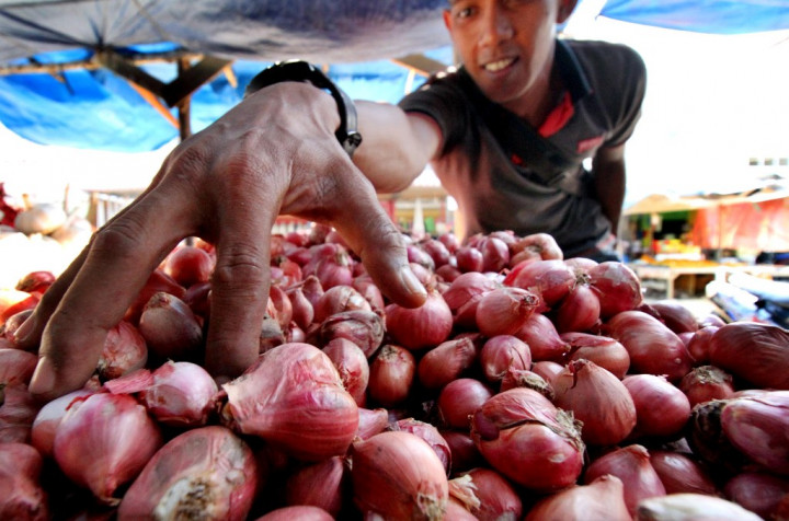 Harga Bawang Merah di Jember Capai Rp50.000/Kg