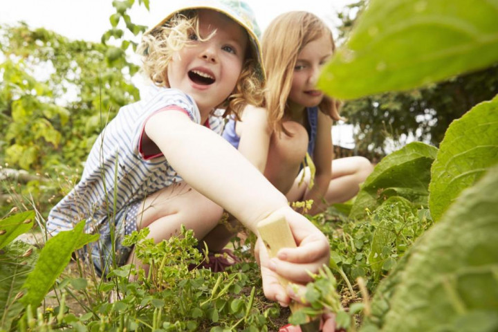Berkebun, Cara Hindari Obesitas pada Anak