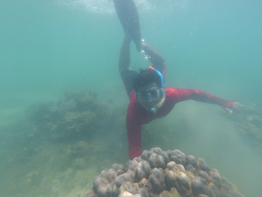 Melirik Snorkeling Di Pulau Panjang