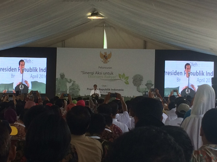 Jokowi Luncurkan Program Sinergi Aksi untuk Ekonomi Rakyat di Brebes