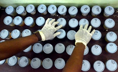 Pemprov Tantang BNN Tes Urine PNS Jatim