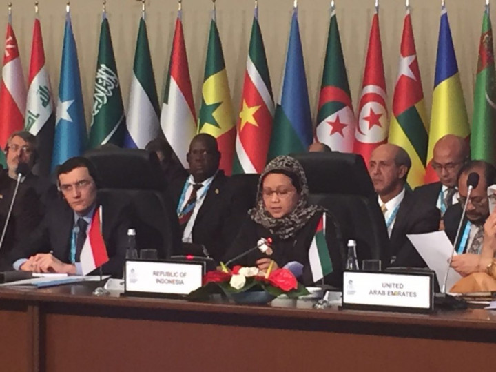 Peran Aktif Indonesia dalam Isu Palestina Diapresiasi OKI