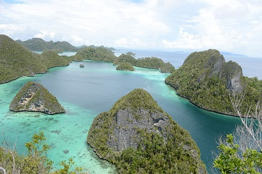 Potensi Wisata Raja Ampat, 'Surga' di Indonesia Timur