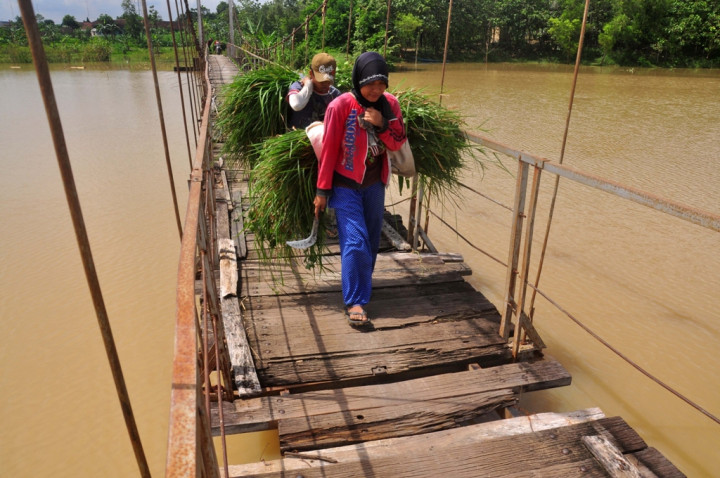 Pertumbuhan Ekonomi Dinilai Gagal Sejahterakan Masyarakat