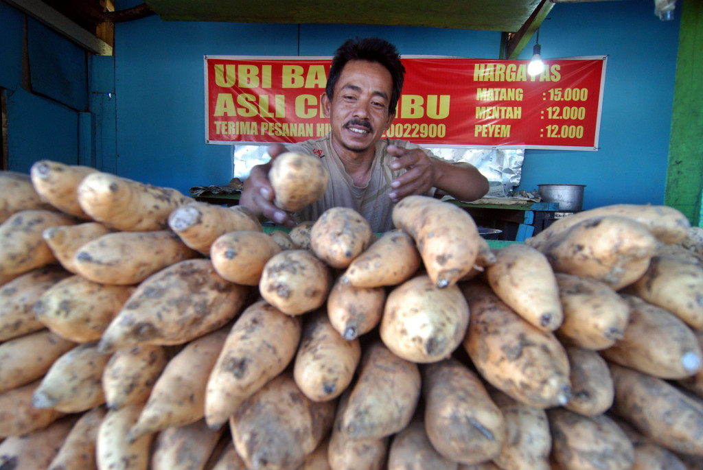 Sweet potato (Photo: Antara Foto/Aditya Pradana Putra)