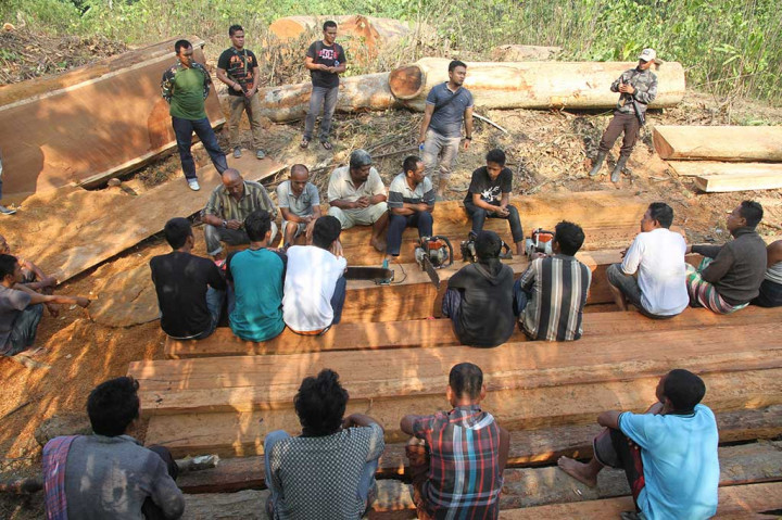Polisi Amankan 14 Pelaku Perambah Hutan