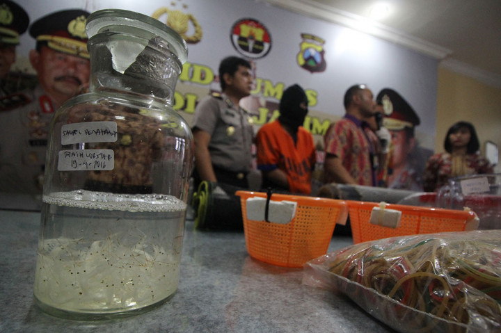 Polda Jatim Ungkap Kasus Penangkapan Ikan Ilegal