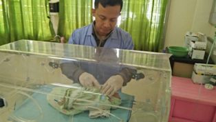 Bayi Perempuan di Belakang Warung Hebohkan Mojokerto