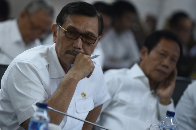 Coordinating Minister of Politics, Law and Security Luhut binsar Pandjaitan  (Photo: Antara Foto/Hafidz Mubarak A)