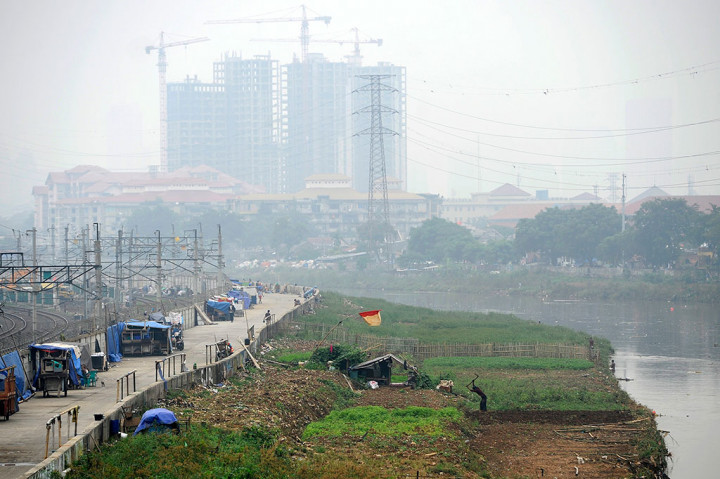 Pemanfaatan Lahan Pinggir Sungai Ciliwung untuk Bercocok Tanam