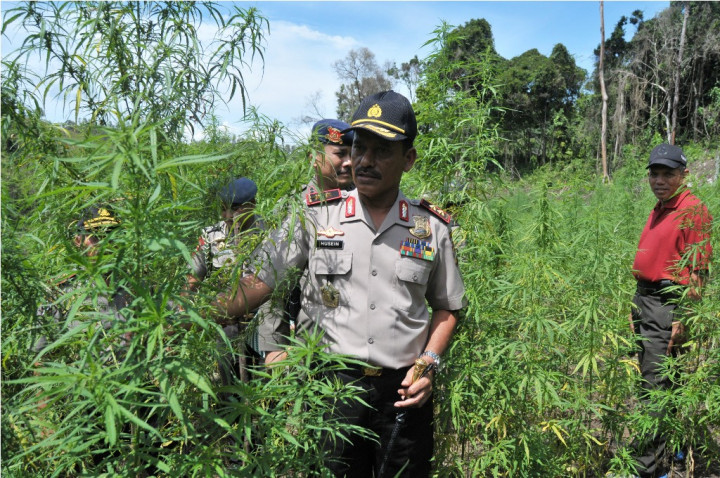 Pemerintah Aceh <i>Curhat</i> ke JK soal Ladang Ganja