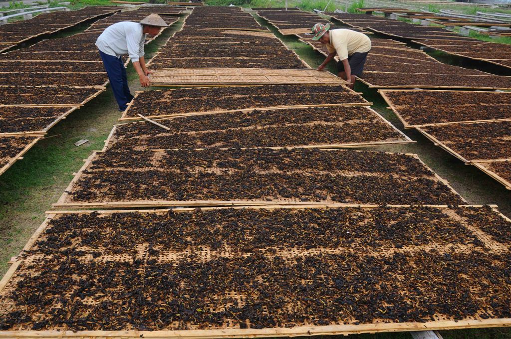 Kenaikan Tarif Cukai Rokok Gerus Pertumbuhan Industri Tembakau