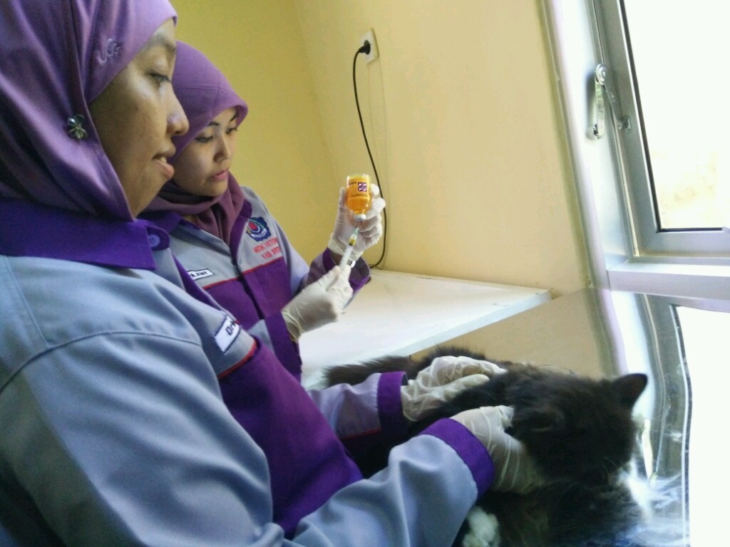 Ada Puskesmas Hewan di Pantura Ada Puskesmas Hewan di Pantura