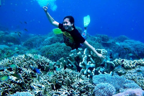 Underwater Charm of Karimunjawa