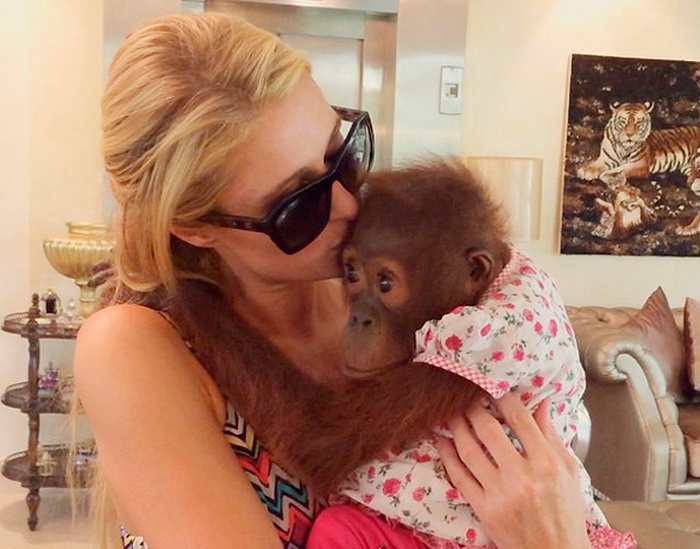 Paris Hilton Minta Maaf kepada Aktivis Pencinta Binatang