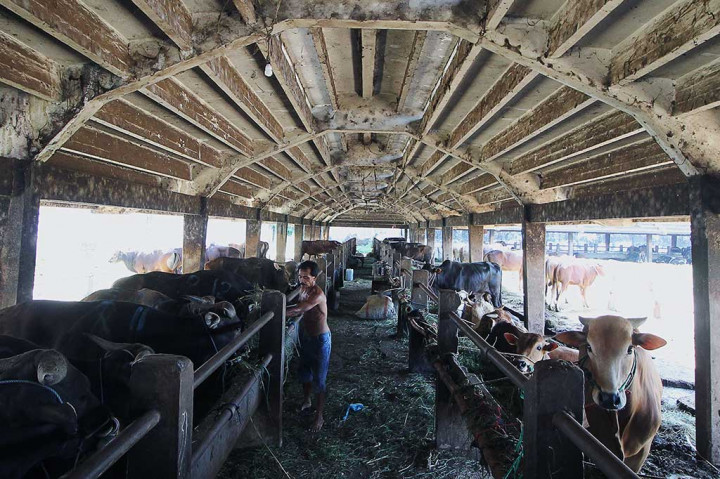 Jelang Ramadan, Pemerintah Impor 10 Ribu Ton Daging Sapi