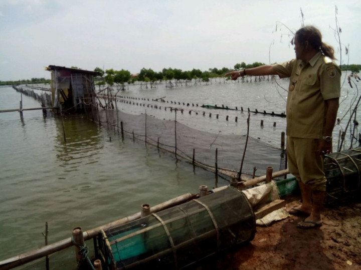 Belasan Hektare Tambak di Pekalongan Diterjang Rob