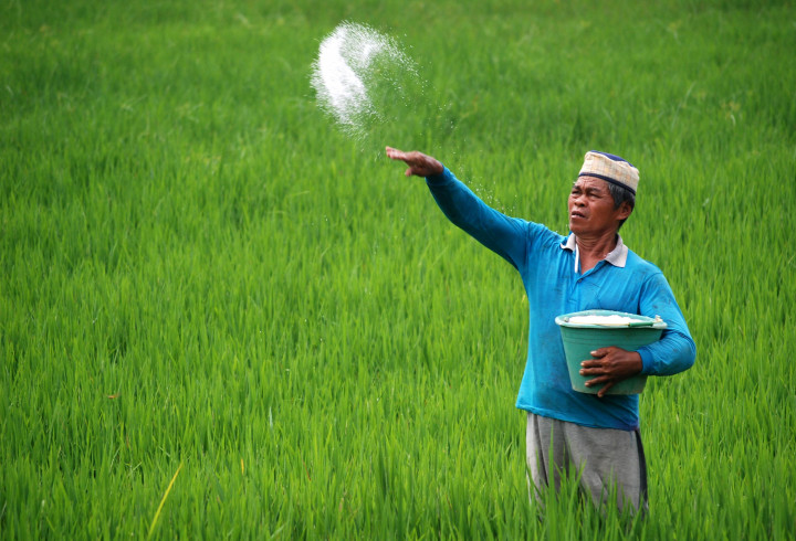 La Nina a Blessing for Farmers: Minister