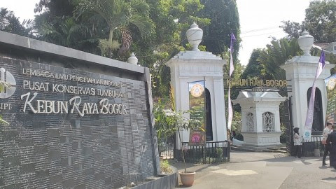 Bogor Botanical Gardens (Photo:MTVN/Mulvi)