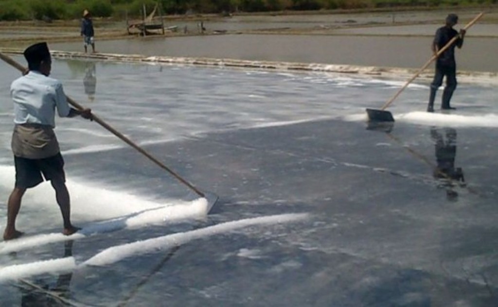 Ilustrasi. Petani garam sedang memanen garam. Foto: Metrotvnews.com/Agus Josiandi