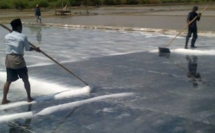 Petani Garam Minta Pemerintah Setop Impor Garam