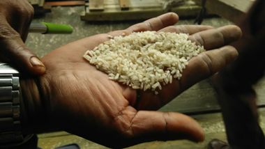  Bulog Klaim Tidak Ada Komplain Kualitas Raskin