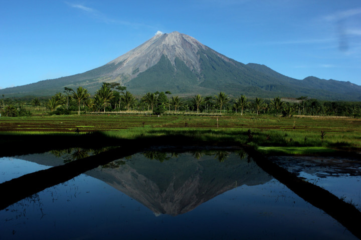 Dua Pendaki Semeru Hilang Ditemukan Selamat
