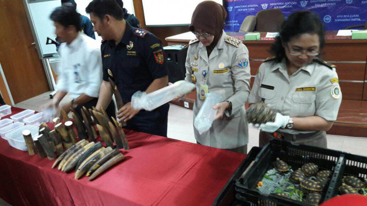 Dua Bulan, Penyelundupan Hewan di Bandara Soetta Capai Rp21 Miliar