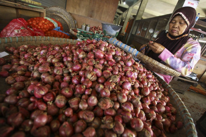 Impor Bawang Merah, Anggaran untuk Tingkatkan Produksi Akan Sia-Sia