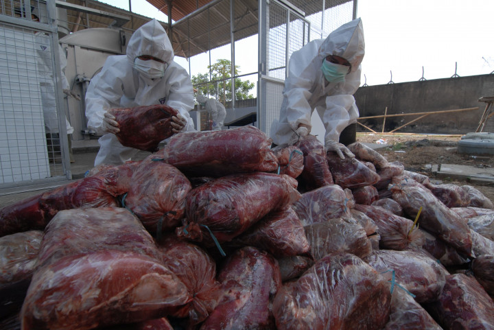 Waspadai Daging Celeng Oplosan Selama Ramadan