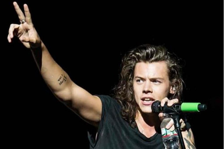 Harry Styles Diprediksi Sukses Menjadi Aktor