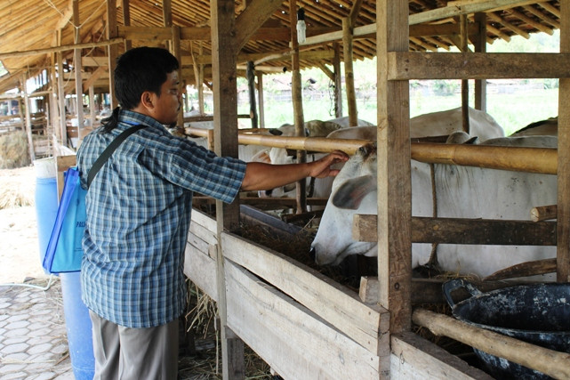 Tanggapan Peternak kalau Harga Daging Rp80 Ribu/Kg