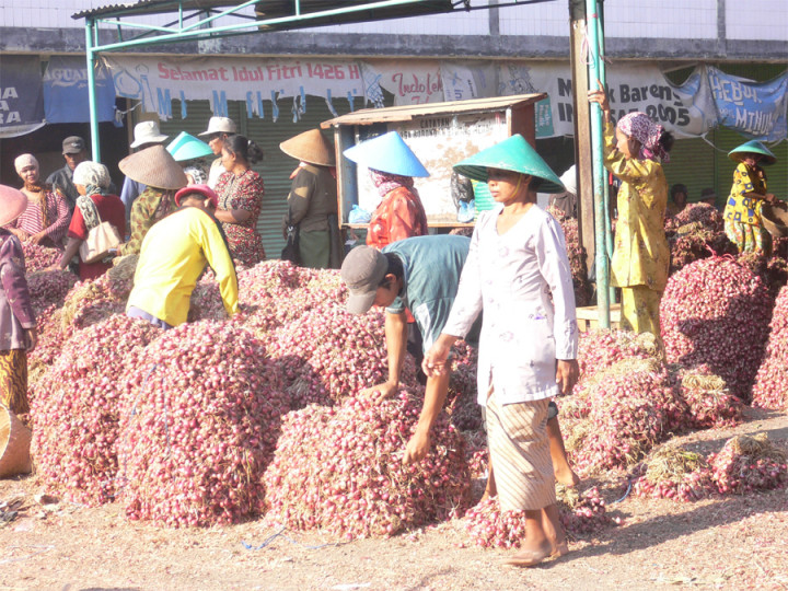 Harga Bawang Merah Lokal Anjlok