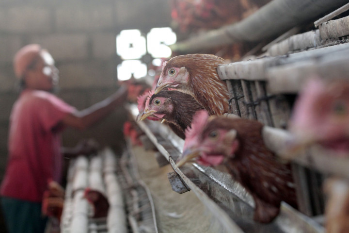 Charoen Pokphan Gelar Operasi Pasar di 11 Titik Pasar Jabodetabek