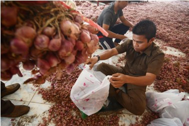 Tekan Harga, Bulog Gelar Operasi Pasar di Medan