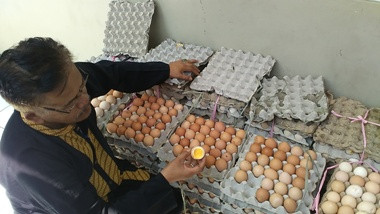 Telur Ayam Rebus Busuk Beredar di Bogor