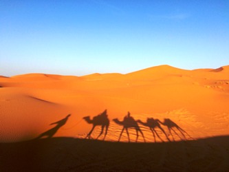 Guyon Salamah yang tidak Disuka Nabi