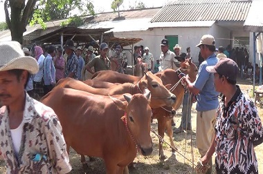 Stok Daging Sapi di Jatim Aman hingga Lepas Lebaran